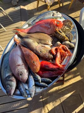 Colorful assortment of fresh fish, prawns, clams and oysters on metal platter, outdoor market and seaside dining atmosphere.
