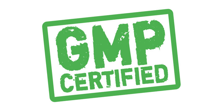GMP Certified Official Stamp Rubber Seal Green Grunge Approval Badge on Transparent Background