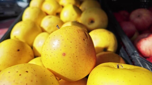 Fresh yellow apples with red blush piled together at a local outdoor farmers market.