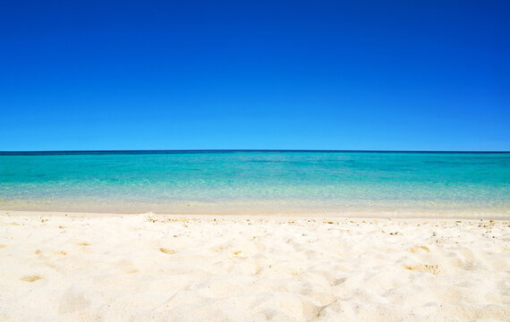 beach and tropical sea . nature background