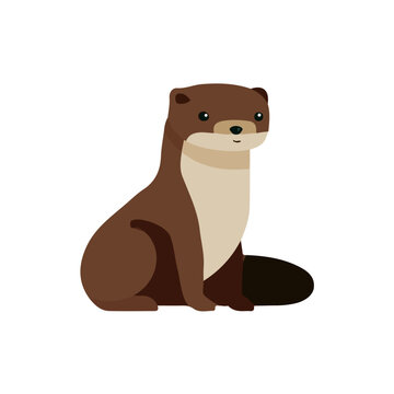 Weasel, flat 2D graphic illustration in a modern minimal style, isolated on a white background.