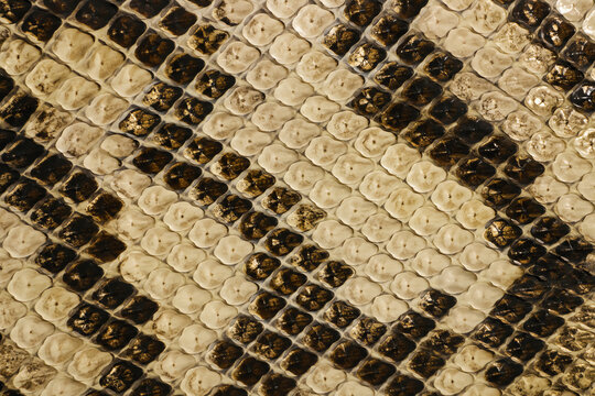 leather texture background