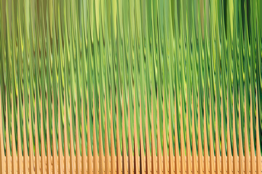 Abstract background with vertical green and tan lines, resembling blades of grass or natural textures