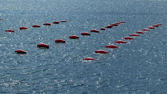 Marine oyster farm in the sea, floating oyster cultivation structures on calm coastal waters, sustainable aquaculture and seafood production
