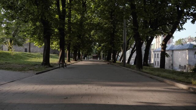 Quiet Tree Lined Park Avenue in Historic Lviv
Peaceful paved avenue surrounded by mature green trees, benches and historic buildings in central Lviv, Ukraine.