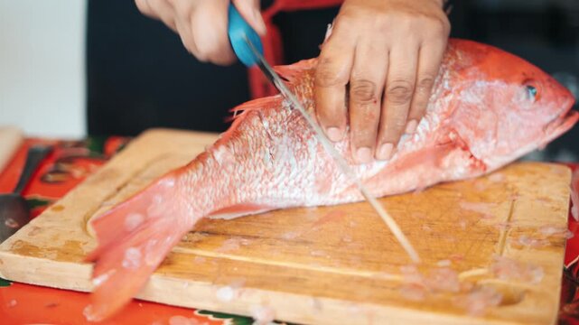 Close up of a cook's hands scaling a fresh red snapper on a wooden cutting board in a kitchen