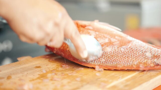Woman's hands scaling a raw red snapper with a spoon on a wooden cutting board in a kitchen