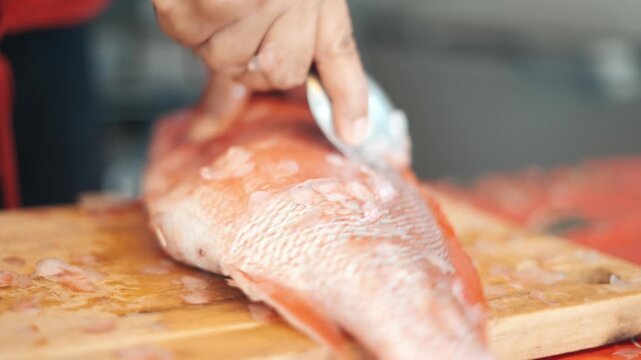 Professional chef preparing a whole red snapper by removing scales with a spoon on a cutting board