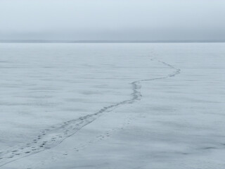 Fototapeta premium Frosty trail cuts through frozen, mist-shrouded expanse. Sparse tracks suggest solitary passage across silent ice.