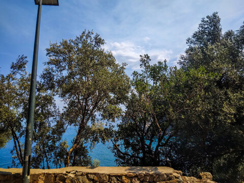 Scenic coastal view with lush green trees and blue sea under a bright sunny sky