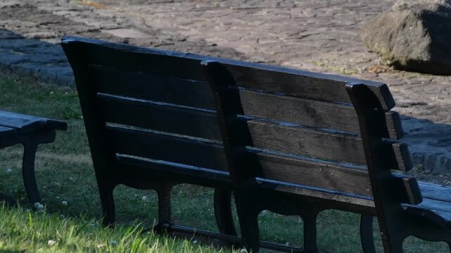 A park bench with long shadows stretching across the grass in the afternoon sun.
