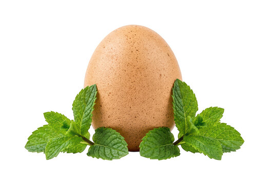 Fresh Brown Egg Flanked By Green Mint Leaves Isolated