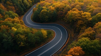 Fototapeta premium Serpentine Road Through Autumn Forest: A winding road curves through a vibrant forest ablaze with the warm hues of autumn foliage, inviting exploration and adventure.