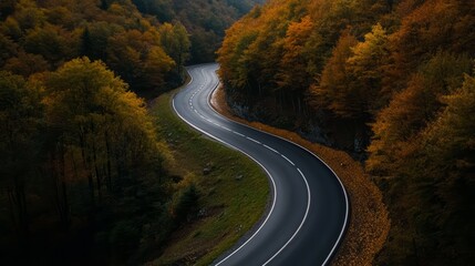 Fototapeta premium Winding Road Through Autumn Forest: A scenic winding road meanders through a vibrant forest ablaze with autumn colors, evoking a sense of adventure and exploration.