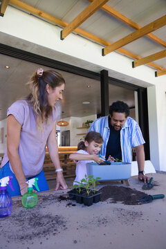 African American family potting planter on patio by kitchen, girl child with parents assisting