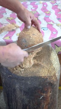 Artisanal process of opening a mature coconut, for the extraction of refreshing water and white pulp, symbol of nutrition, freshness, and tropical culture.