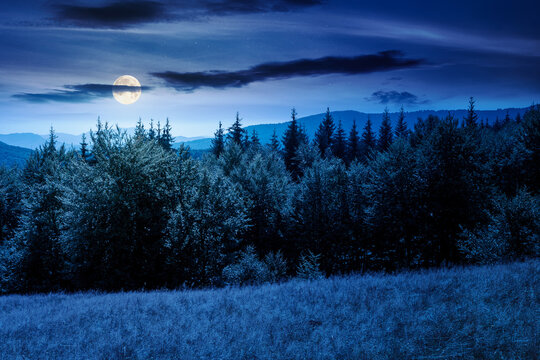 mountain landscape of ukraine at night. full moon over alpine grassy meadow and deciduous forest on the hill. late summer nature background for carpathian adventures
