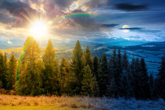 hillside of mountain range with coniferous forest and meadow. day meet night. sun and moon over spruce trees on the green grassy hill. Carpathian countryside on autumn equinox. astrology wallpaper