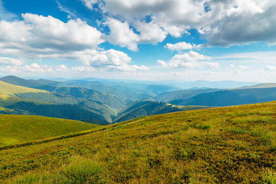 Carpathian mountain landscape in summer. scenic view of Transcarpathia region from Stiy summit. hiking trail through Borzhava range. grassy hill in dappled light