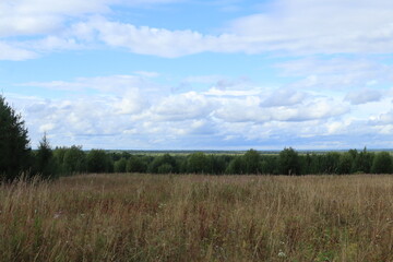 Fototapeta premium Summer landscape of northeastern Europe, field, green forest, blue sky, clouds on a summer day