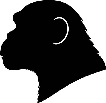 Chimpanzee Head Silhouette Vector Illustration