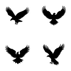 Fototapeta premium Eagle Silhouette Collection – Flying Birds of Prey