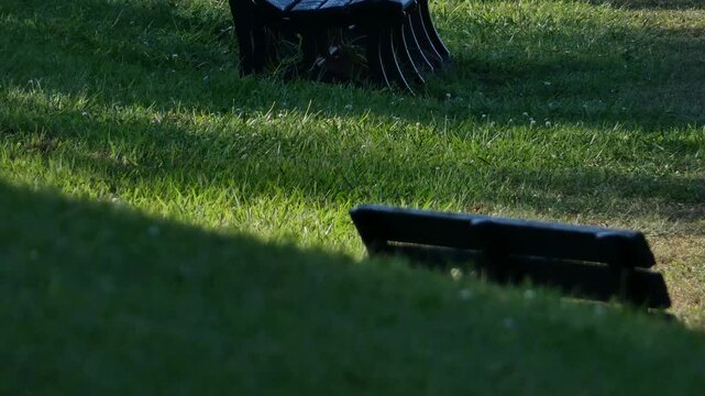 A park bench with long shadows stretching across the grass in the afternoon sun.
