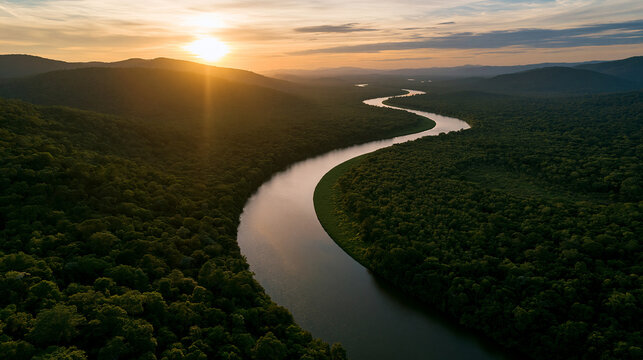 Aerial view of a winding river flowing through a lush tropical rainforest at sunset. Perfect for environmental conservation and travel industry campaigns.