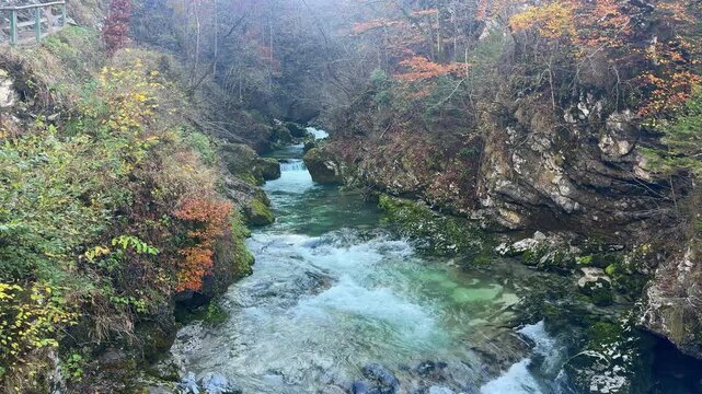 Stunning view of the Radovna River carving its way through the Vintgar Gorge. Crystal clear turquoise water flowing over rocks