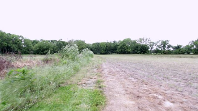 Driving down empty crop fields
