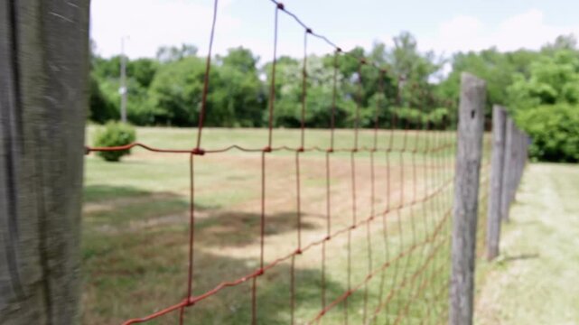 Walking down farm fence line
