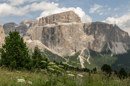 Italy, dramatic Dolomite mountain landscape with alpine meadow and forest
