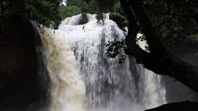The beautiful nature backdrop of the Haew Narok waterfall in Khao Yai National Park is a stunning feature of the forest and a popular destination for tourists.