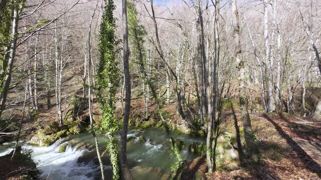 Mountain stream flowing through a sunny forest in autumn