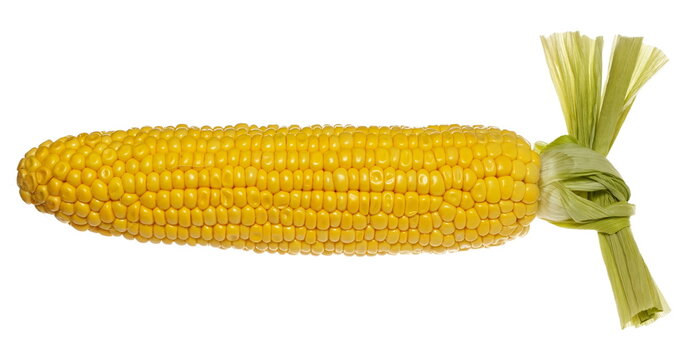 Fresh corn cob isolated on white background, clipping path