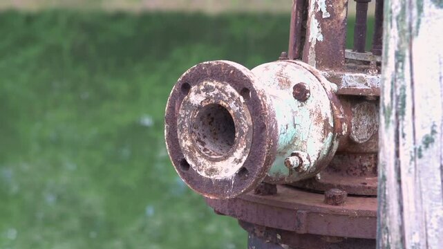 Bird taking off from old plumbing slow motion
