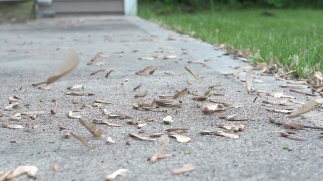 Blowing dirt and debris from concrete patio
