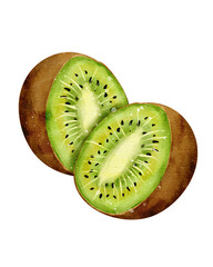 Watercolor Kiwi fruit illustration  © Elsa