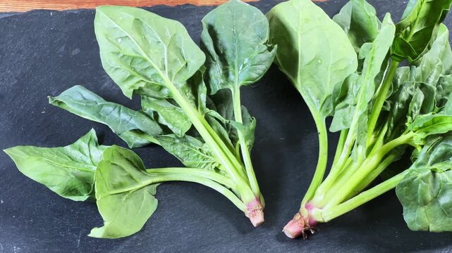 Fresh spinach stems on flat slate plate on rustic table