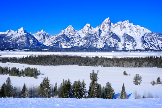 Teton Mountain Range in Wyoming in Winter Blue Sky and Forest