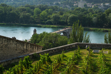 Obraz premium Avignon, France - 04 08 2026: Pont d’Avignon seen from Rocher des Doms panoramic point