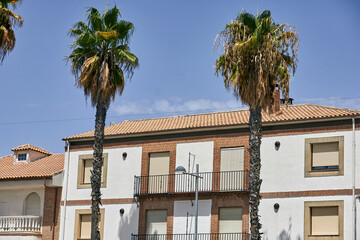 Fototapeta premium Traditional whitewashed residential facade with brick details, wrought iron balconies, tiled roof and tall palm trees in Baeza, Andalusia, Spain