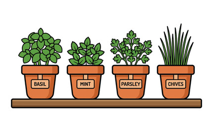 Fototapeta premium Set of four potted culinary herbs including basil mint parsley and chives on a shelf