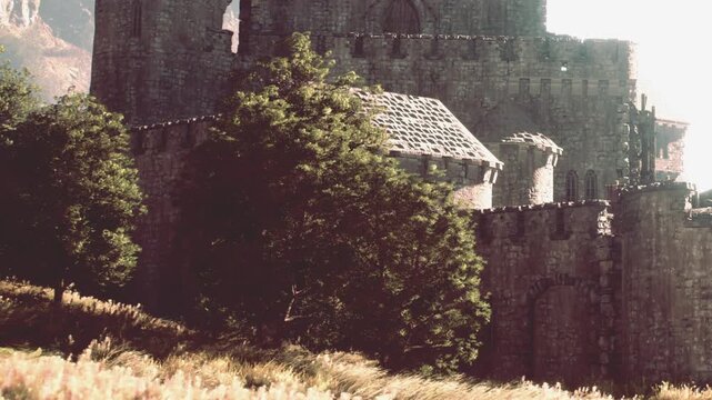 A large stone castle stands in the mountains, partially covered by trees. Grass grows in the foreground under clear skies. The time appears to be during daylight hours in a bright setting.