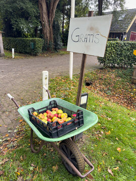 A wheelbarrow filled with fresh apples stands beside a handwritten &ldquo;GRATIS&rdquo; sign outside a Dutch home, illustrating generosity, local produce and community sharing.