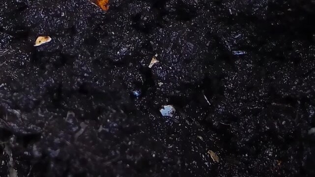 Wet dark organic soil texture with small fragments and glistening surface closeup
