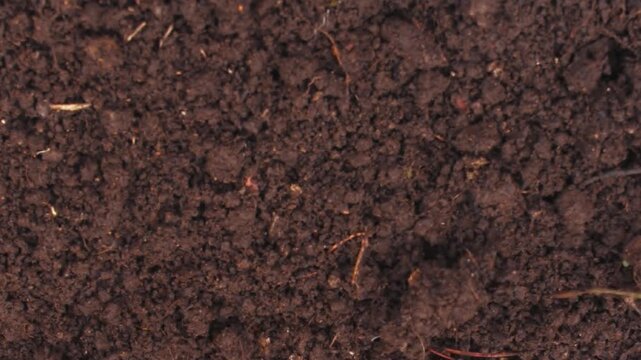 Rich dark soil texture background for gardening and agriculture projects