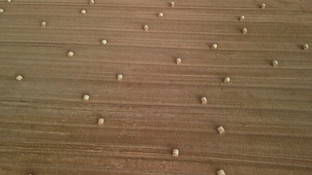 large bale of straw. Aerial view of evenly spaced wooden markers on freshly tilled soil, showcasing the systematic arrangement in agricultural field preparation for planting crops
