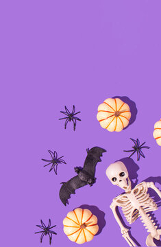 Human skeleton body , pumpkin, spider and bat on a bright purple background. Halloween background idea.