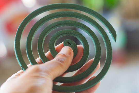 Human hand holding a green spiral mosquito repellent coil close-up against a soft blurred background